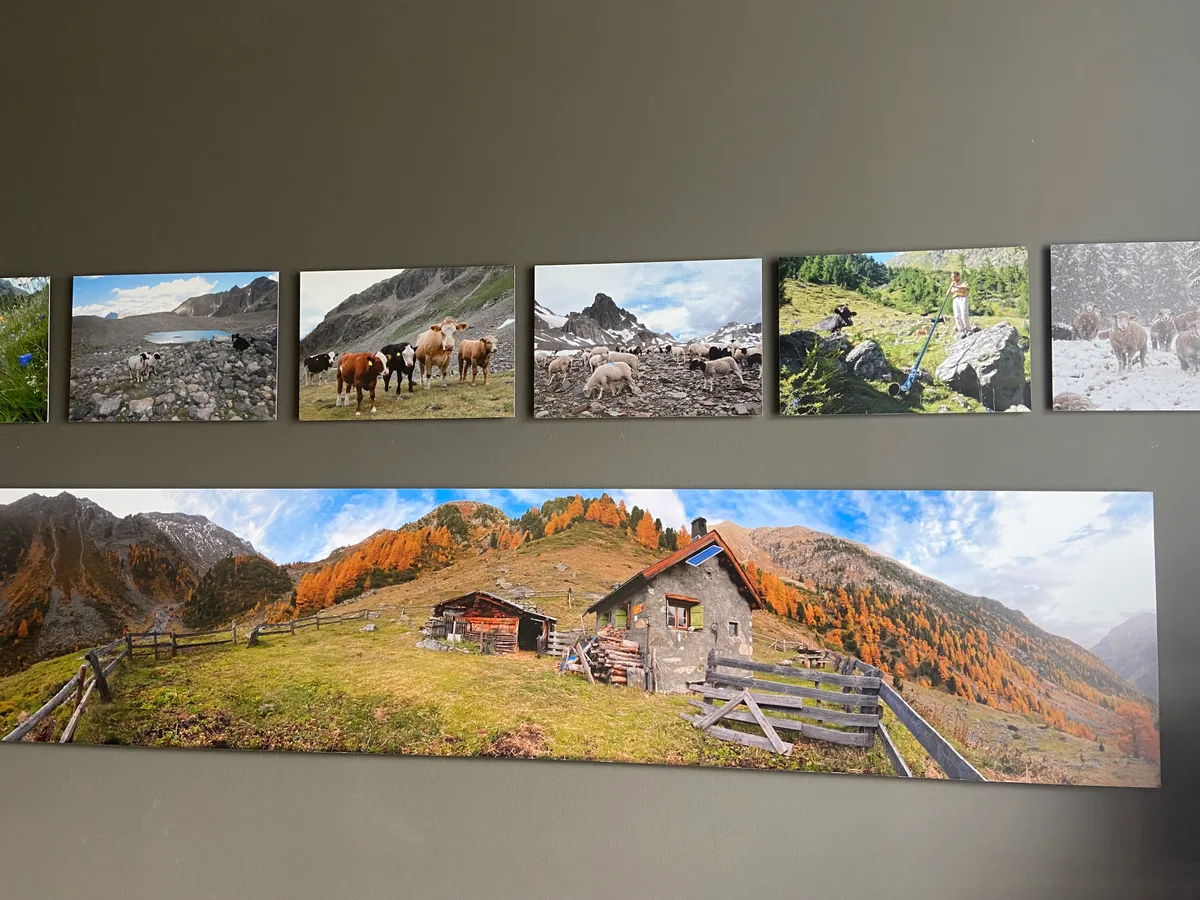Die Erinnerungen an die Zeit auf der Alp sind der Parfümeurin so wichtig, dass sie sie in ihrem Atelier stets bildlich bei sich hat. Bilder einer Alp.
